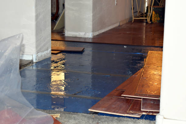 Professional Burst Pipe Cleanup technician working in Grays River, WA